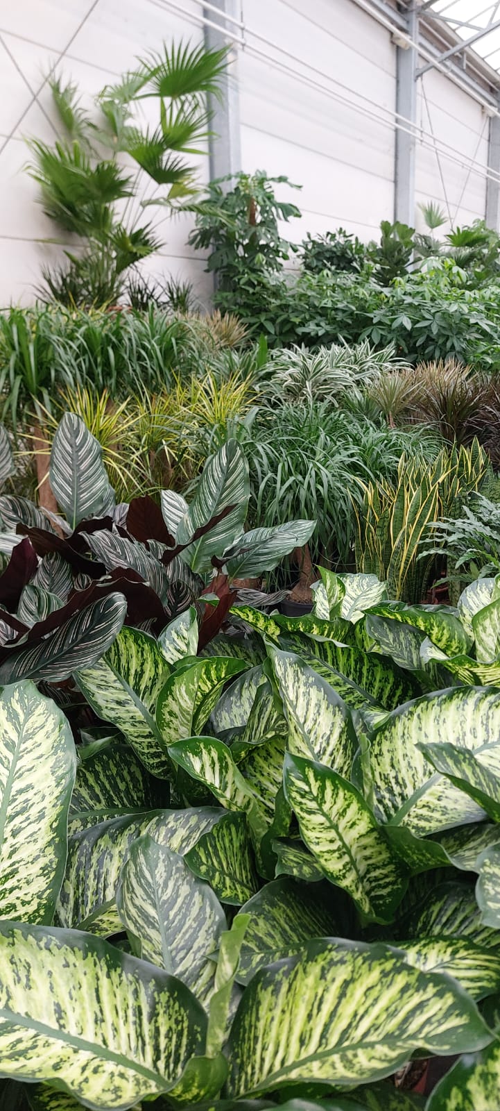 WhatsApp Image 2025-10-28 at 15.49.35 (3)