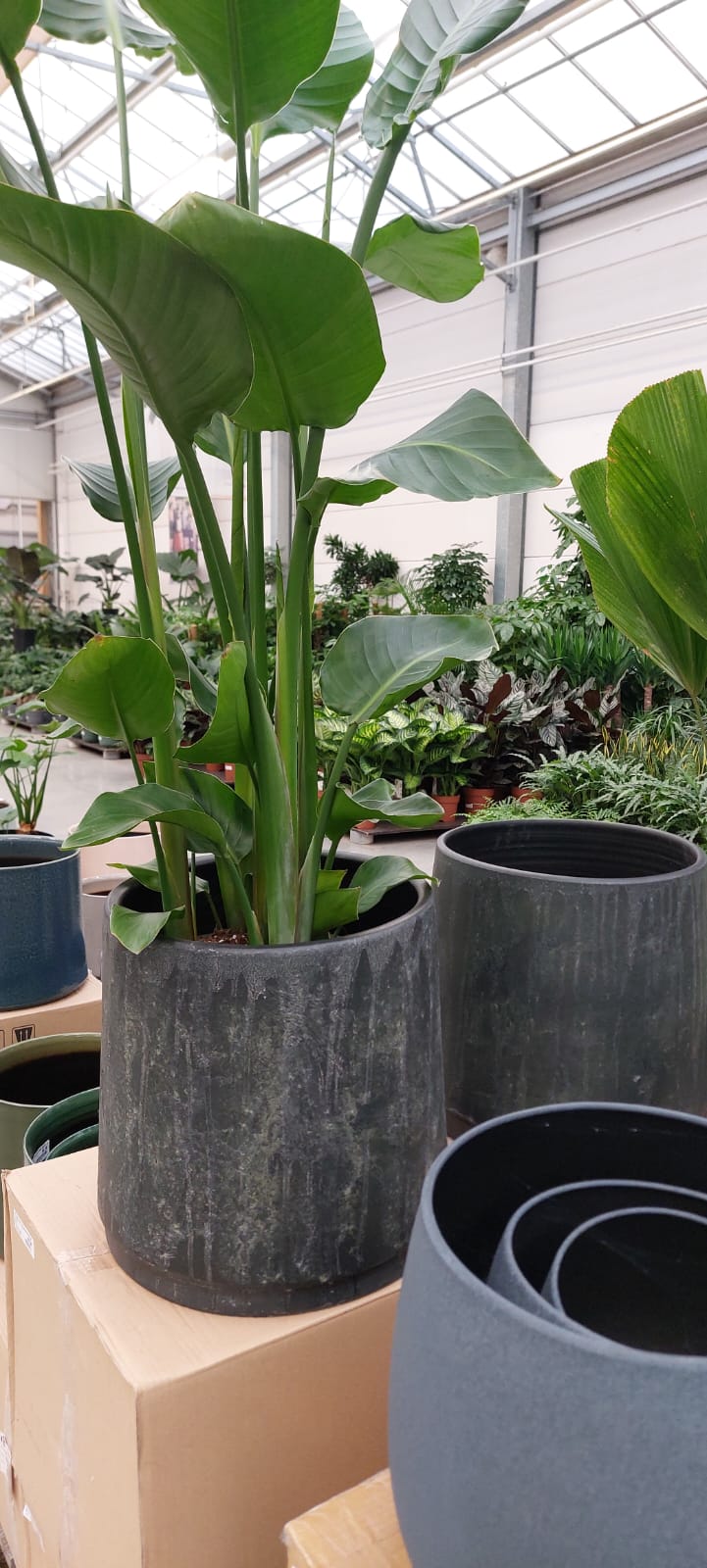 WhatsApp Image 2025-10-28 at 15.49.35